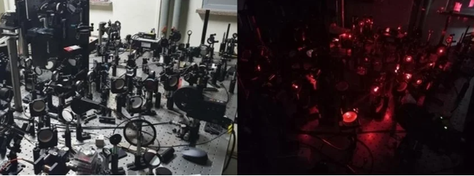 Holographic Microscope to Observe the Brain's Neural Network