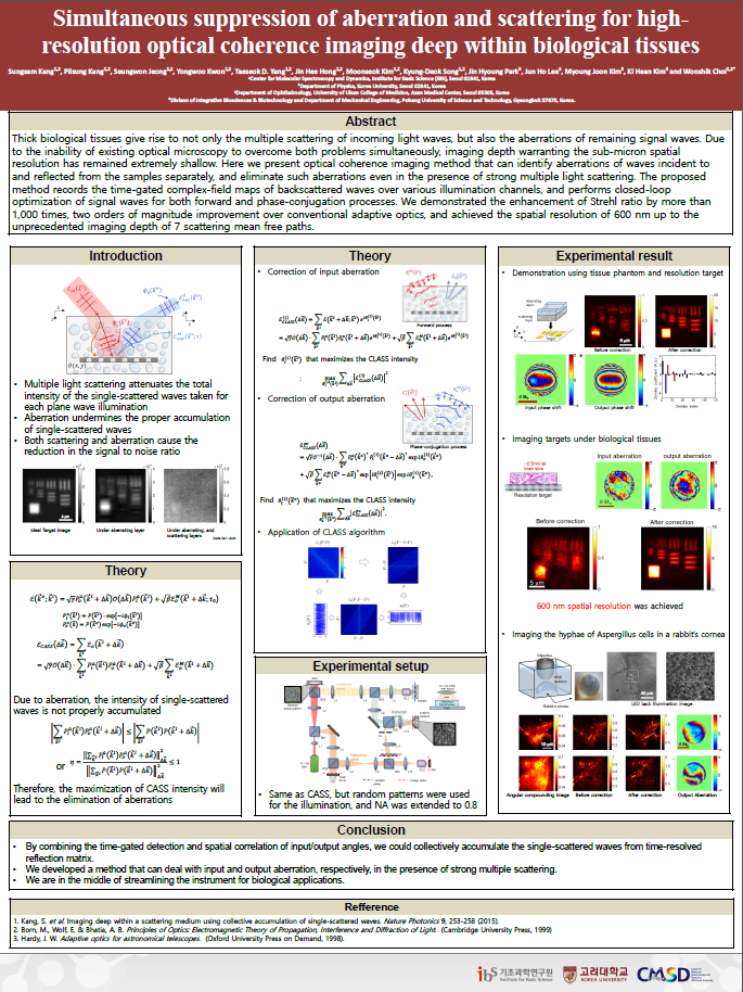Simultaneous suppression of aberration and scattering for high-resolution optical coherence imaging deep within biological tissues 사진
