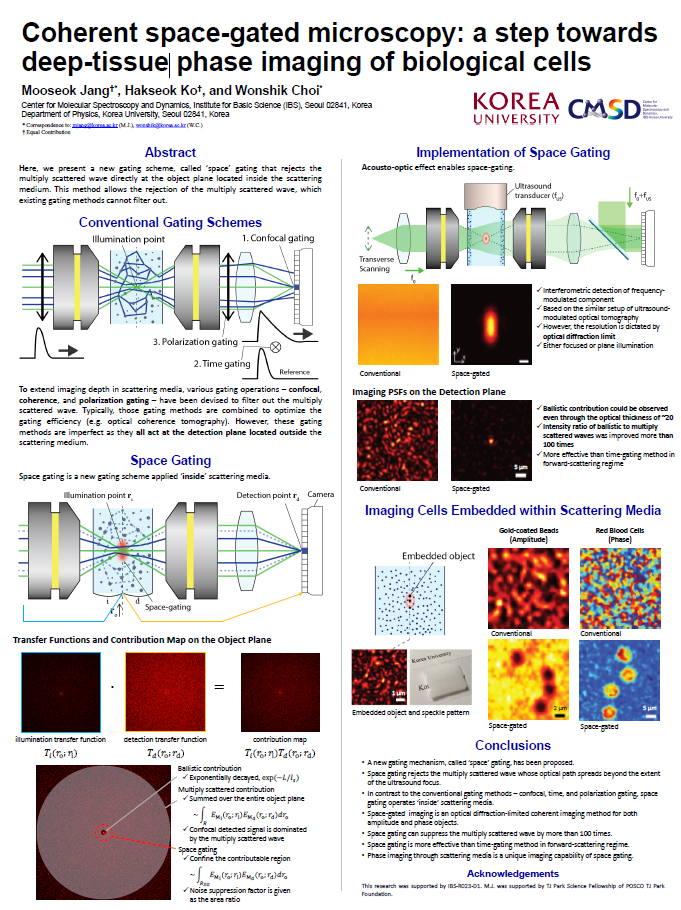 Coherent space-gated microscopy: a step towards deep-tissue phase imaging of biological cells