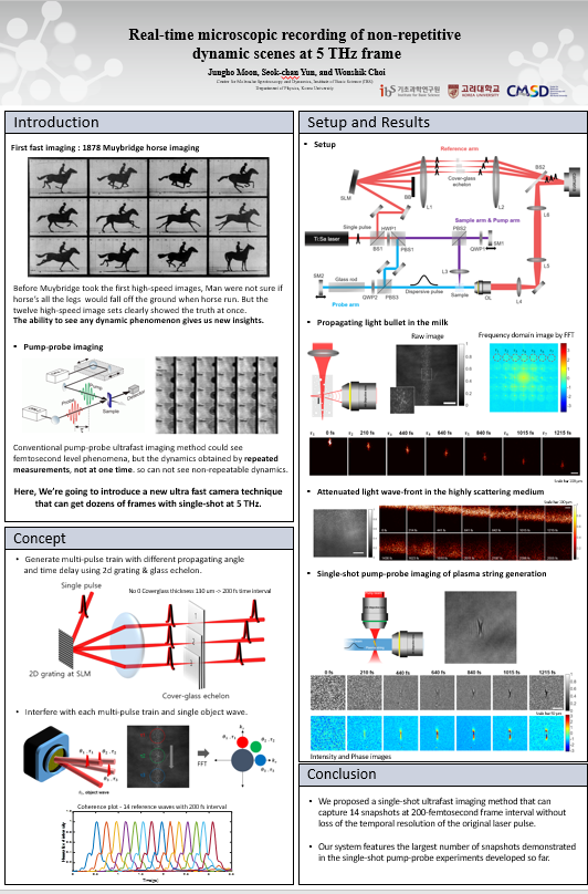Real-time microscopic recording of non-repetitive dynamic scenes at 5 THz frame