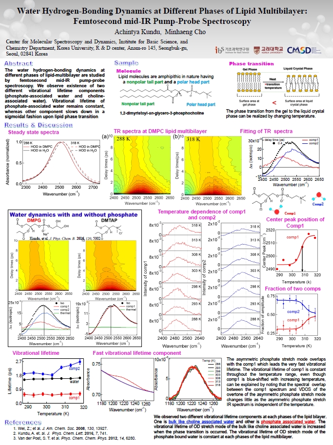 Water Hydrogen-Bonding Dynamics at Different Phases of Lipid Multibilayer: Femtosecond mid-IR Pump-Probe Spectroscopy 사진