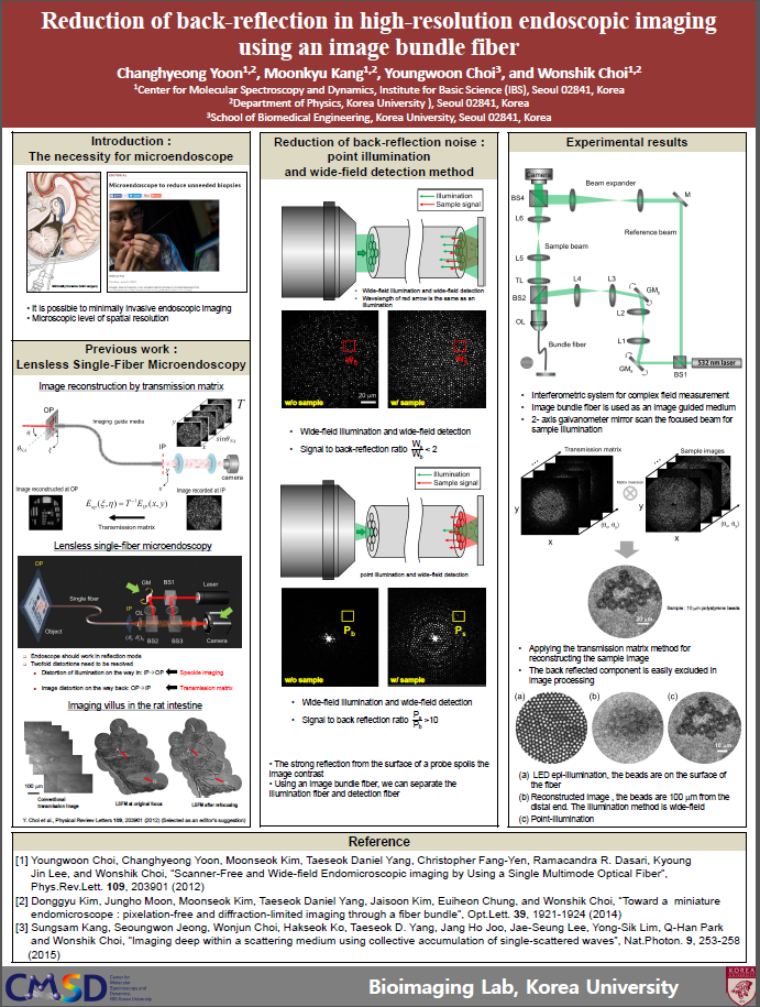 Reduction of back-reflection in high-resolution endoscopic imaging using an image bundle fiber 사진
