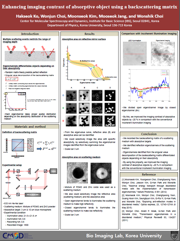Enhancing imaging contrast of absorptive object using a backscattering matrix 사진