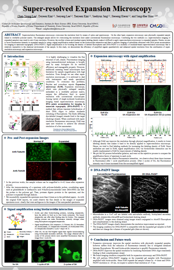 Super-resolved Expansion Microscopy 사진