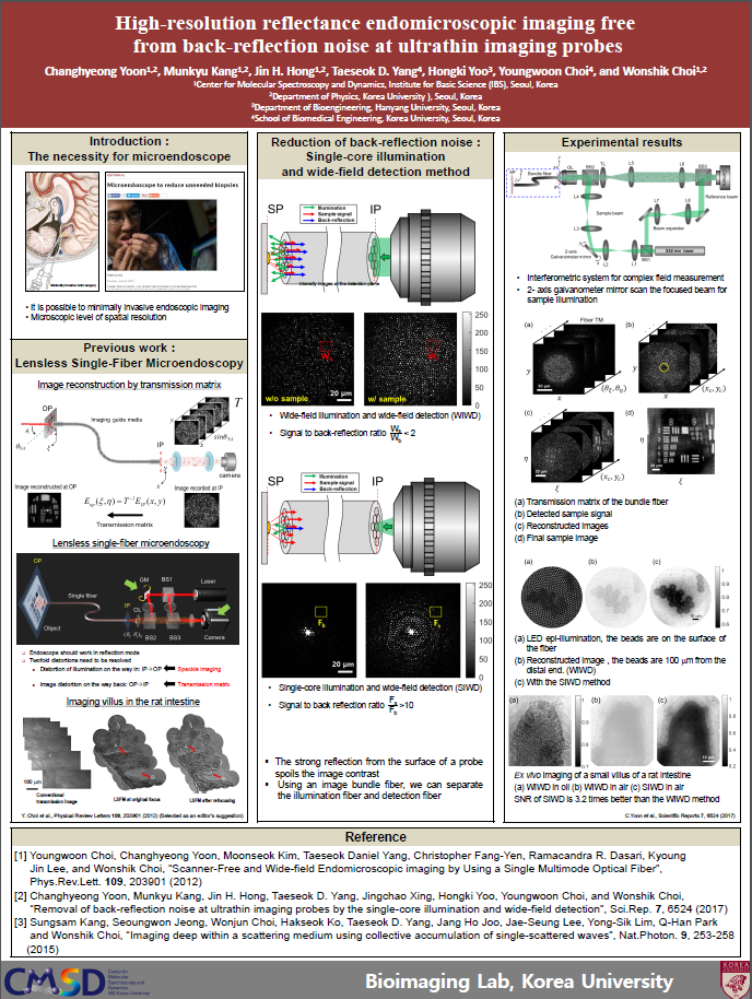 High-resolution reflectance endomicroscopic imaging free from back-reflection noise at ultrathin imaging probes 사진