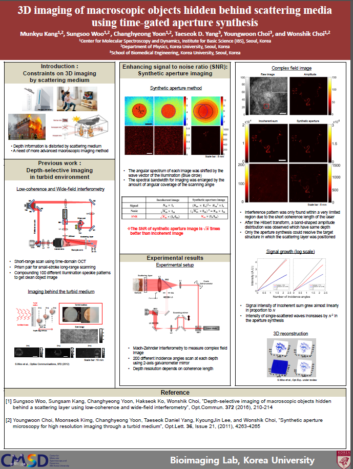3D imaging of macroscopic objects hidden behind scattering media using time-gated aperture synthesis 사진