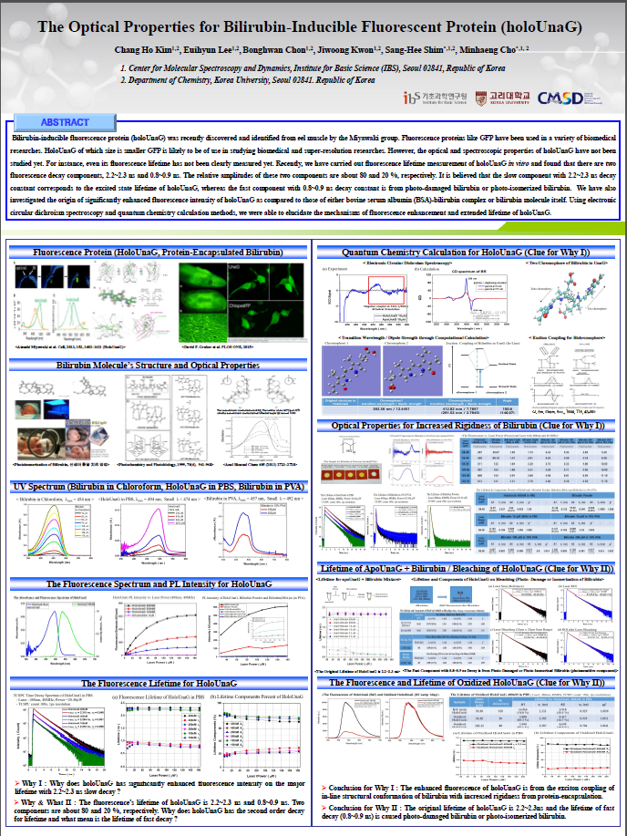 The Optical Properties for Bilirubin-Inducible Fluorescent Protein (holoUnaG) 사진