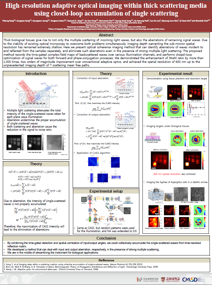 High-resolution adaptive optical imaging within thick scattering media using closed-loop accumulation of single scattering