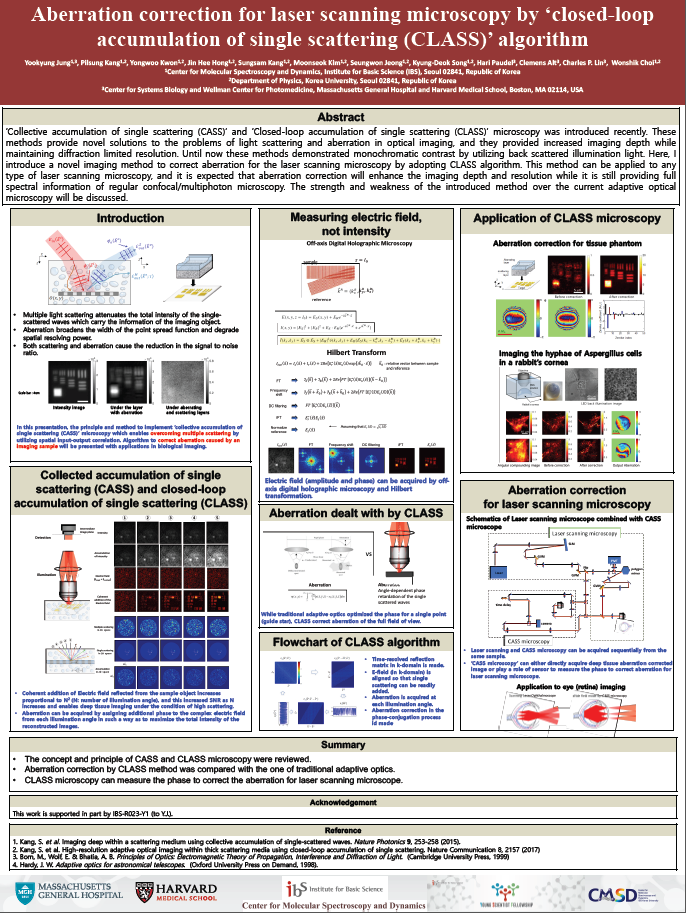 Aberration correction for laser scanning microscopy by ‘closed-loop accumulation of single scattering (CLASS)’ algorithm 사진