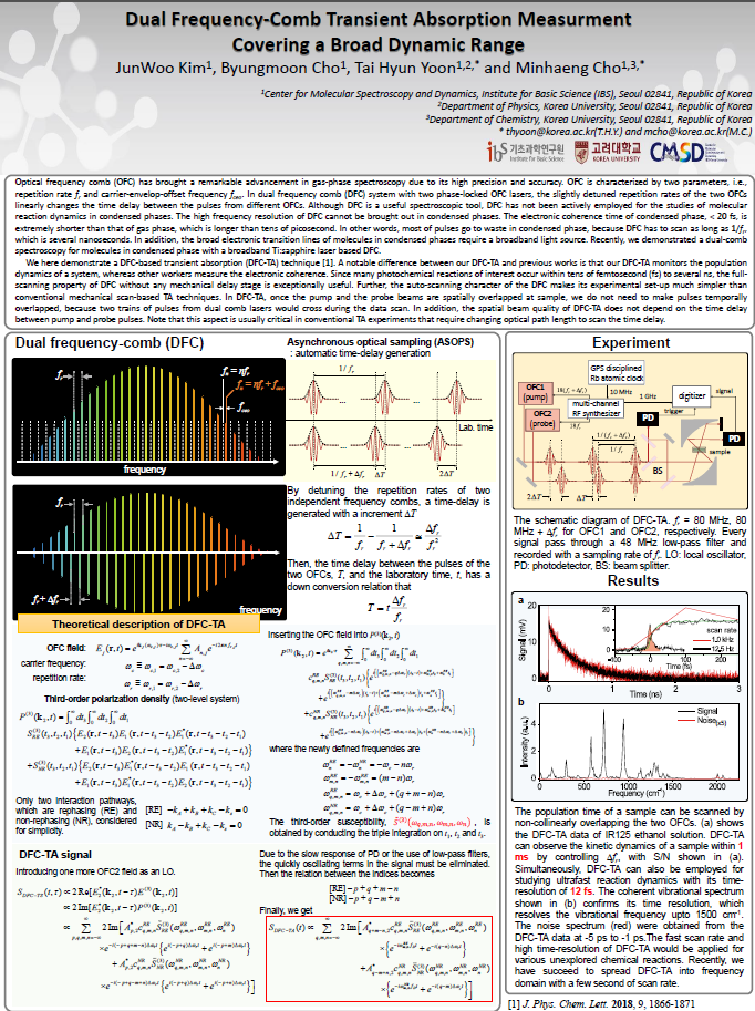 Dual Frequency-Comb Transient Absorption Measurment Covering a Broad Dynamic Range