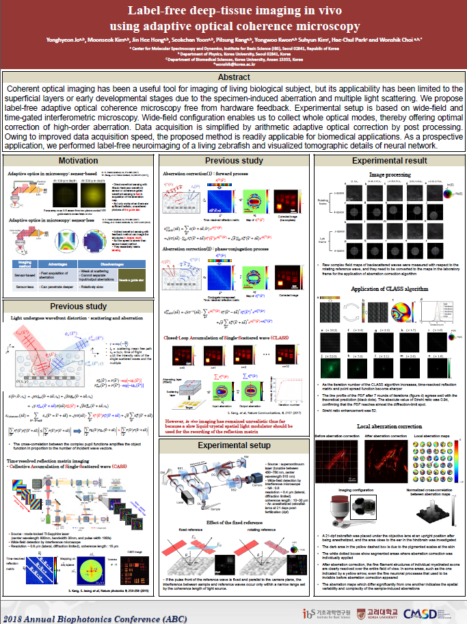 Label-free deep-tissue imaging in vivo  using adaptive optical coherence microscopy