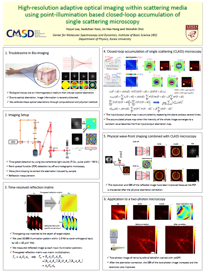 High-resolution adaptive optical imaging within scattering media using point-illumination based closed-loop accumulation of single scattering microscopy 사진