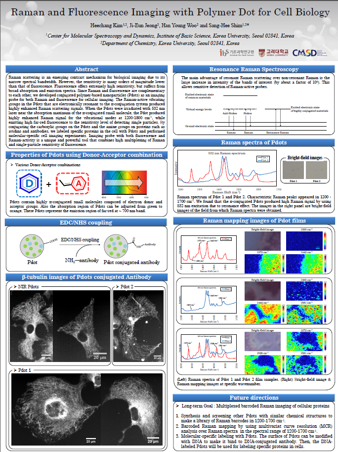 Raman and Fluorescence Imaging with Polymer Dot for Cell Biology 사진