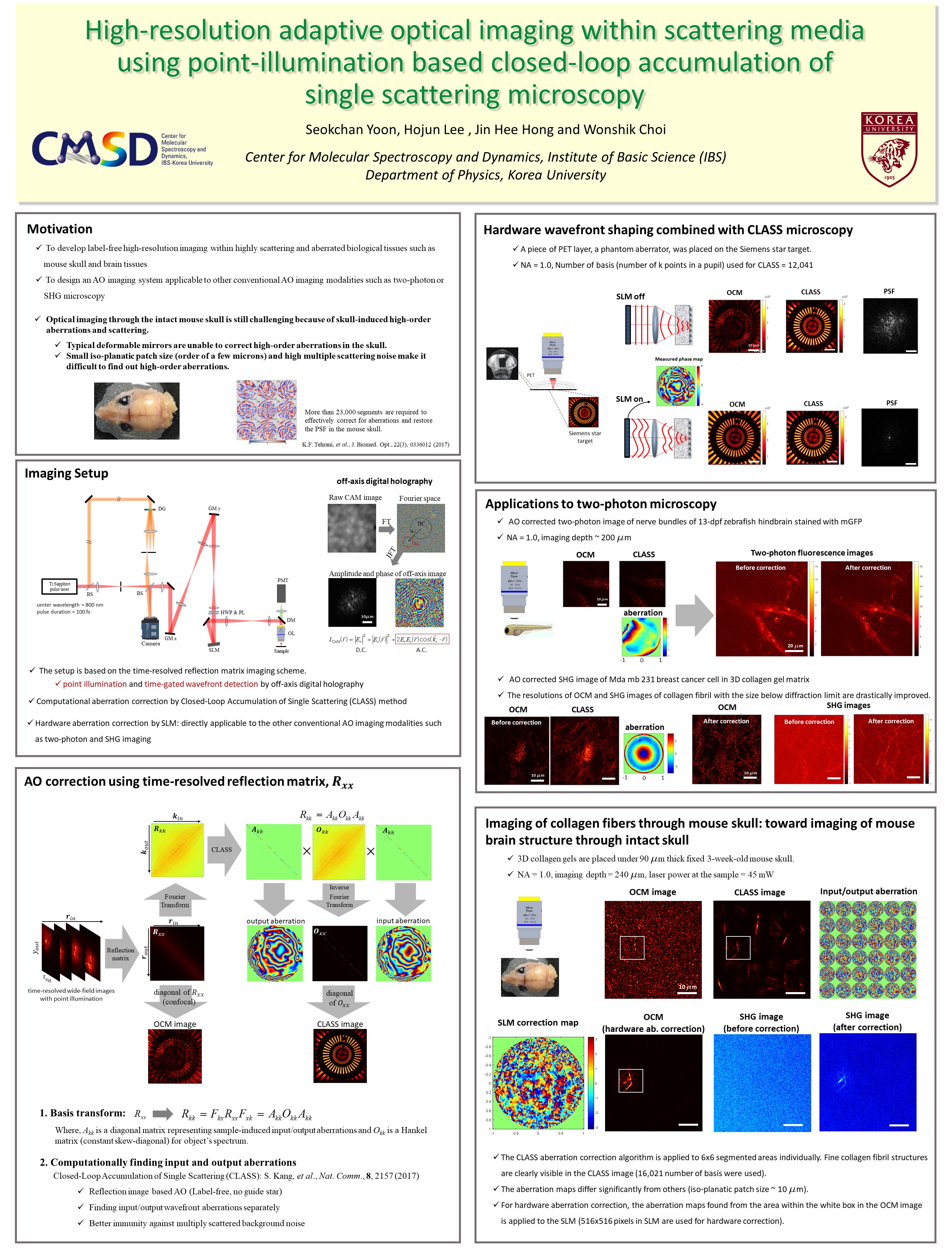 High-resolution adaptive optical imaging within scattering media using point-illumination based closed-loop accumulation of  single scattering microscopy 사진