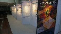 CMDS 2018 Poster Session