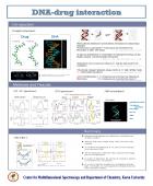 DNA-drug interaction